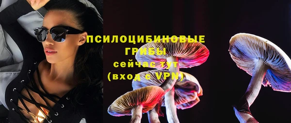 гашик Абинск