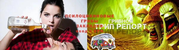 МДПВ Абаза
