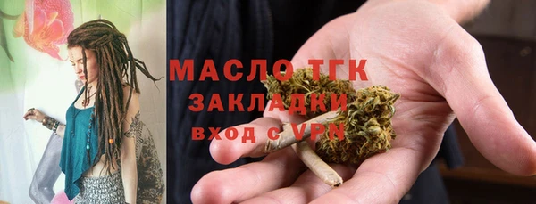 индика Рославль