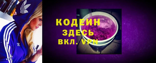 индика Рославль