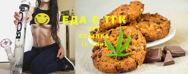 индика Рославль